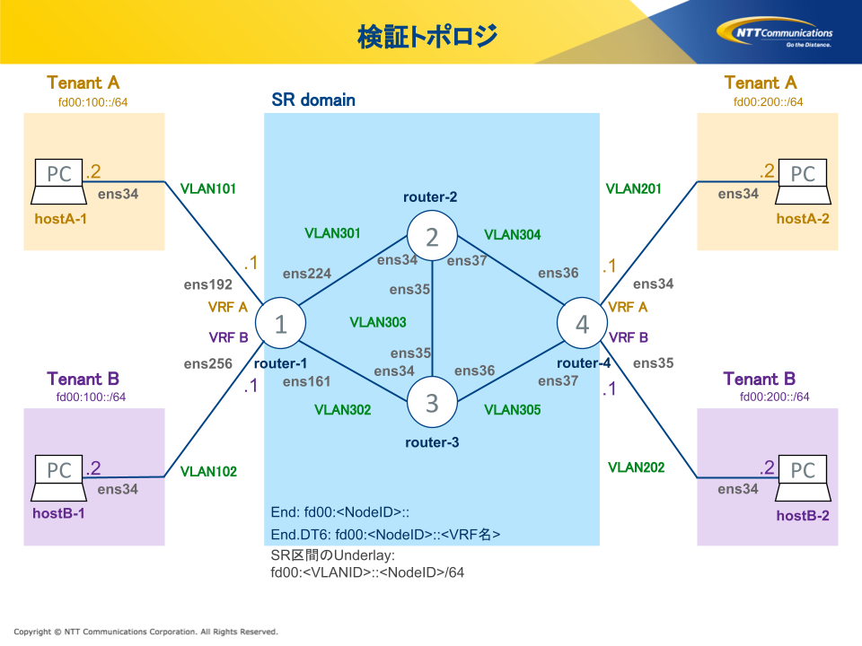 ntt-fig1