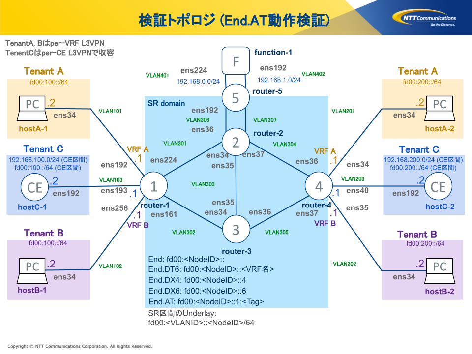 ntt-fig2